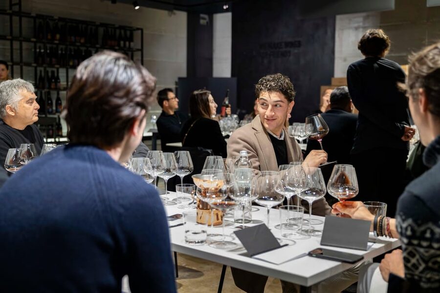Vineyard Tour and Winery Visit with Tasting of Wines of Romagna - Language matters: English guide availability and how to plan