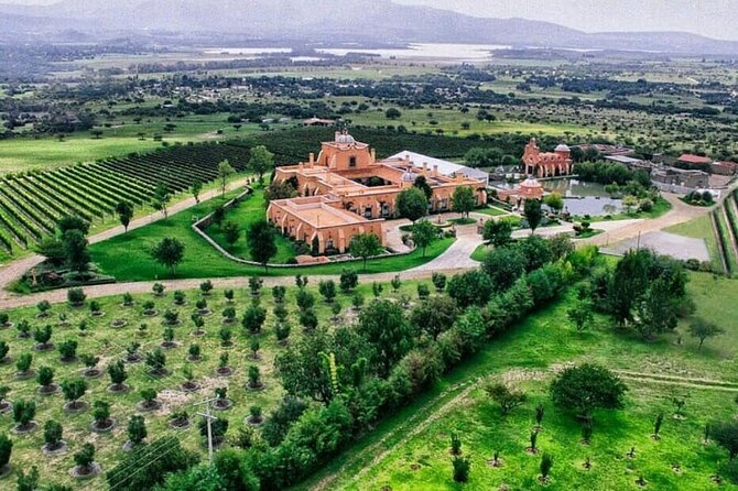 Vineyard, tour, tasting and fun in San Miguel de Allende - Key things you’ll notice on this vineyard tour