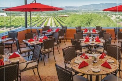 Vineyard, tour, tasting and fun in San Miguel de Allende - Garden strolls and the Mexico wine story