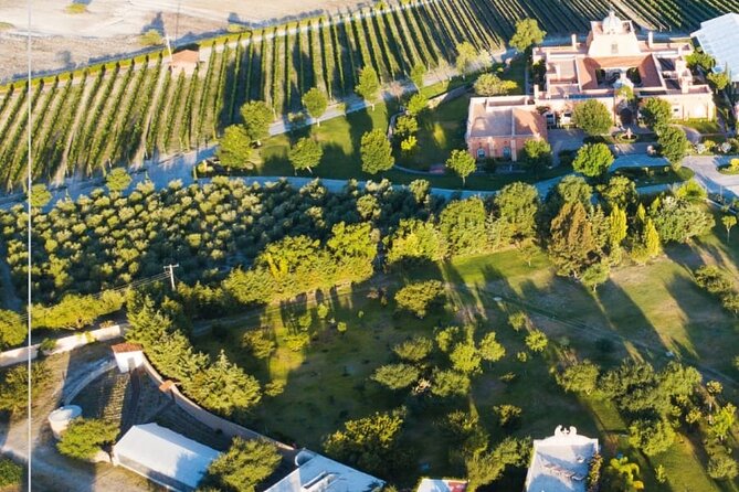 Vineyard, tour, tasting and fun in San Miguel de Allende - Transportation and timing: the part to plan for