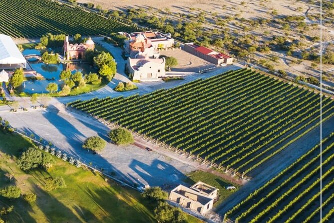 Vineyard, tour, tasting and fun in San Miguel de Allende - Who should book this San Miguel vineyard tour