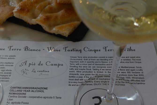 vineyard tour & wine tasting - Walking the vineyard amphitheater: dry walls and sea views