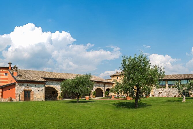 Vineyard tour with tasting of 4 wines on Garda Hills - A two-hour Garda Hills wine reset at Tenuta La Presa