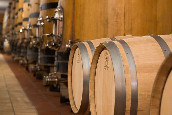 Vineyard tour with tasting of 4 wines on Garda Hills - Small group size and asking questions without the awkward pause