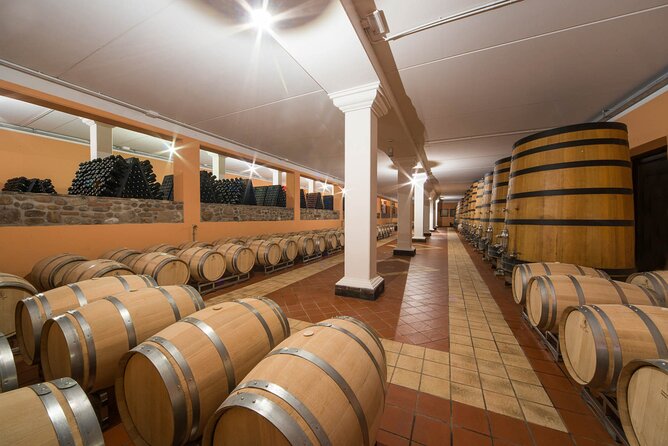 Vineyard tour with tasting of 4 wines on Garda Hills - Who this tour suits best in Lake Garda country