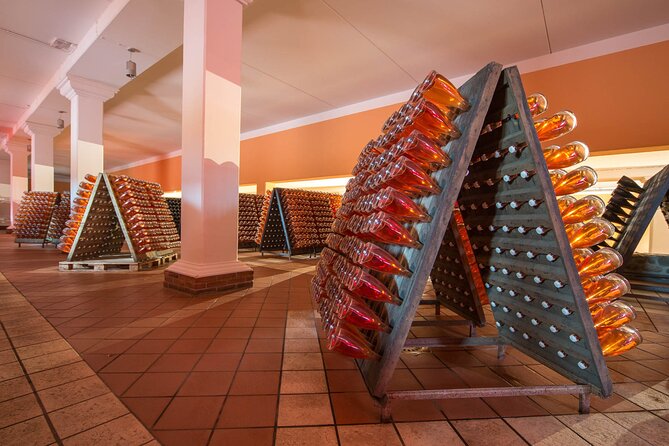 Vineyard tour with tasting of 4 wines on Garda Hills - Quick practical tips so you enjoy every part