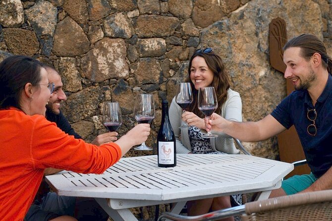 Vineyard tour with wine tasting and local products - Key things to know before you go