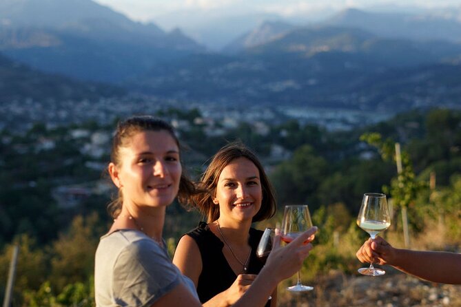 Vineyard Tour with Wine Tasting within Nice city borders - Key highlights you’ll actually care about
