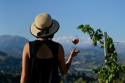 Vineyard Tour with Wine Tasting within Nice city borders - The 90-minute format: walk, cellar, then tasting
