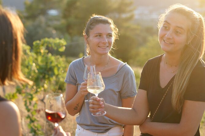 Vineyard Tour with Wine Tasting within Nice city borders - What’s included in the price—and how it stacks up