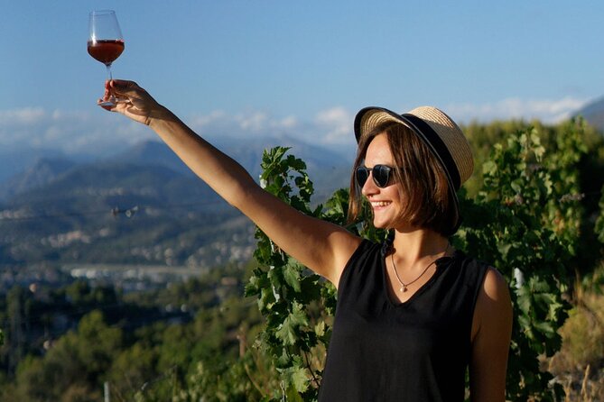 Vineyard Tour with Wine Tasting within Nice city borders - Food and comfort: plan for a pre- or post-tour snack