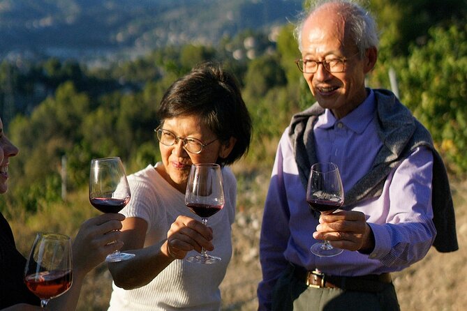 Vineyard Tour with Wine Tasting within Nice city borders - Who this tour is best for (and who should choose differently)