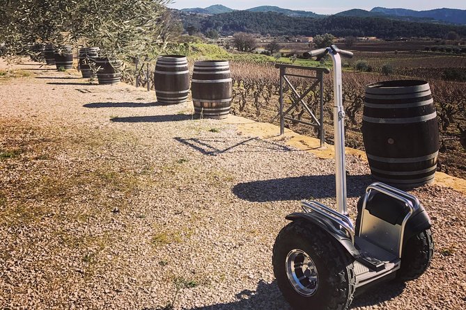 Vineyard visit in Gyropode, visit of Cave & Tasting Wines of Bandol - Quick highlights you’ll actually feel