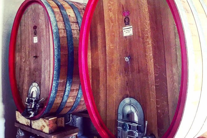 Vineyard visit in Gyropode, visit of Cave & Tasting Wines of Bandol - A Gyropod Vineyard Ride You Can Do Without Stress