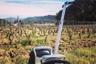 Vineyard visit in Gyropode, visit of Cave & Tasting Wines of Bandol - Domaine Lou Capelan: How the Cellar Tour Makes Bandol Make Sense