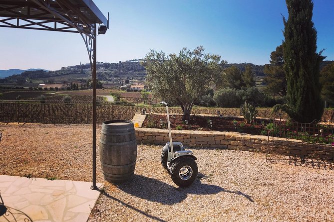 Vineyard visit in Gyropode, visit of Cave & Tasting Wines of Bandol - How Long It Takes (and Why 1h15 Feels Right)