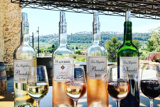 Vineyard visit in Gyropode, visit of Cave & Tasting Wines of Bandol - Price and Value: Why $34.81 Can Work Well