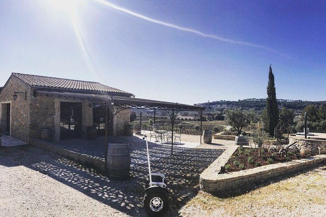 Vineyard visit in Gyropode, visit of Cave & Tasting Wines of Bandol - Who Should Book This and Who Might Skip It