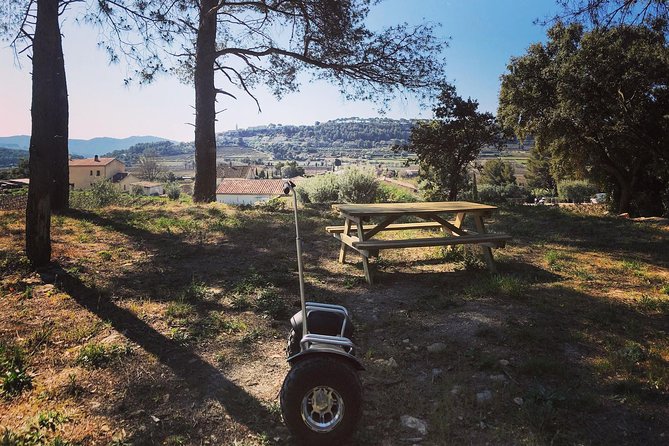 Vineyard visit in Gyropode, visit of Cave & Tasting Wines of Bandol - Practical Tips for Getting the Most Out of Your Visit