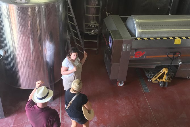 Vineyard visit with local appetisers and wine tasting - Tenuta Guardastelle: a San Gimignano wine tasting that feels properly local