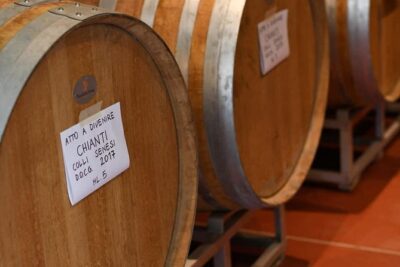 Vineyard visit with local appetisers and wine tasting - The tasting lineup: four estate wines you can learn from