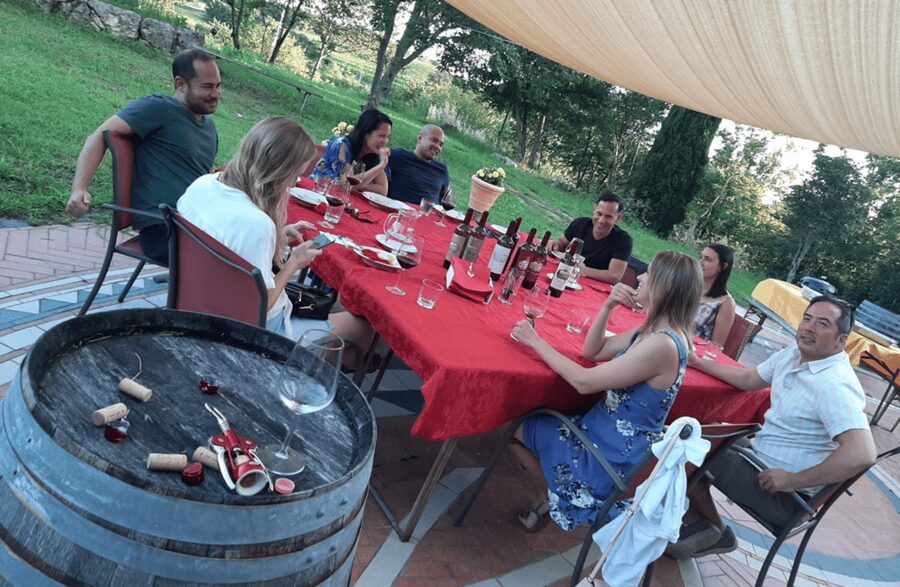 Vineyard Walk & Wine Tasting in the Berici Hills of Vicenza - Cellar tour (about 50 minutes): oak barrels and how aging shapes flavor