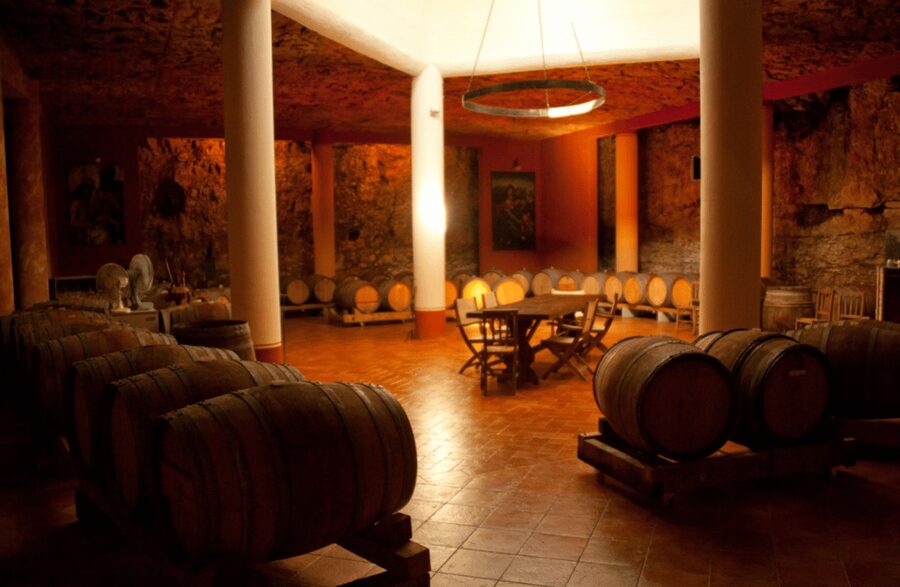 Vineyard Walk & Wine Tasting in the Berici Hills of Vicenza - Pairings that actually teach you something (cheese, prosciutto, and cured meats)