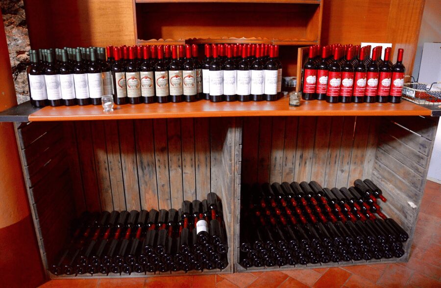 Vineyard Walk & Wine Tasting in the Berici Hills of Vicenza - Who should book this Berici Hills wine tasting?