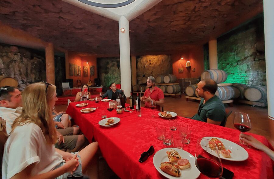 Vineyard Walk & Wine Tasting in the Berici Hills of Vicenza - Practical tips to get the most out of your 2-hour afternoon