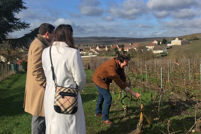 Vineyard Walking Tour & 5 Champagnes Tasting - Key Highlights You’ll Feel Right Away