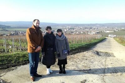 Vineyard Walking Tour & 5 Champagnes Tasting - The Five Champagne Tasting: How to Compare Without Overthinking