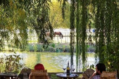 Vineyard Wine Tasting Tour - Key highlights that make this tour worth your time