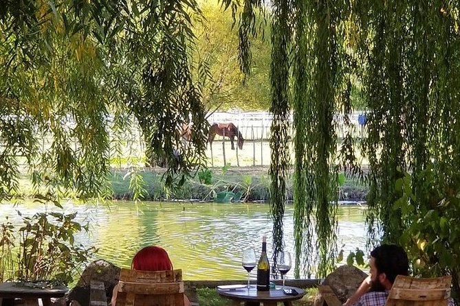 Vineyard Wine Tasting Tour - Key highlights that make this tour worth your time