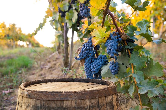 Vintage Fiat 500 Tour from Siena: Tuscan Hills and Winery Lunch - Chianti hills and village stops: what you’ll see between Siena and the winery