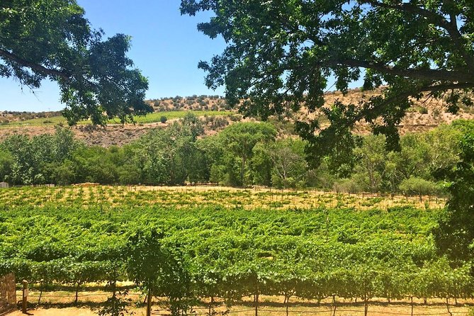 Visit 4 Wineries in Limo Party Bus-Includes Charcuterie Lunch! - Why This Verde Valley Wine Day Feels Easier Than Driving
