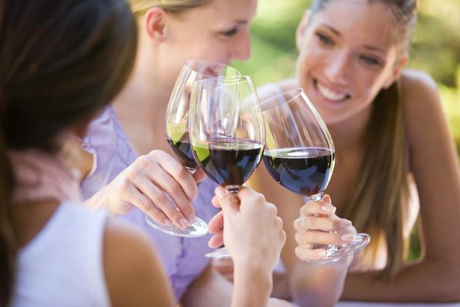 Visit 4 Wineries in Limo Party Bus-Includes Charcuterie Lunch! - Picking the Right Tour Partner: Who This Fits Best
