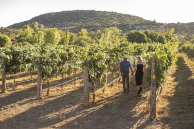 Visit 4 Wineries in Limo Party Bus-Includes Charcuterie Lunch! - The Lunch Setup: A Charcuterie Board That Actually Fits the Day