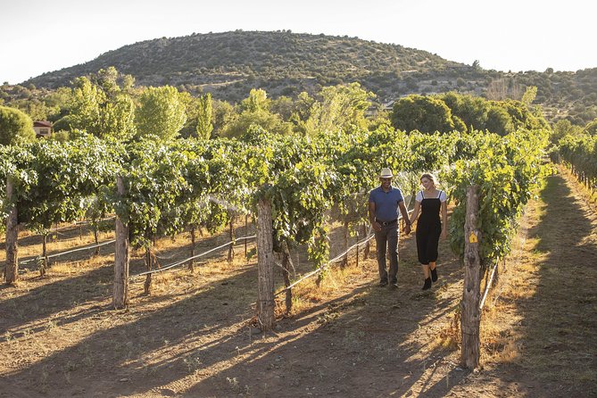 Visit 4 Wineries in Limo Party Bus-Includes Charcuterie Lunch! - The Lunch Setup: A Charcuterie Board That Actually Fits the Day