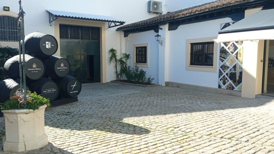 Visit a century-old winery in the centre of jerez - Price and value: is $29 for 75 minutes reasonable?
