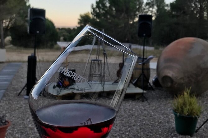 Visit and Wine Tasting at the Territorio Luthier Winery - Key Points You’ll Care About