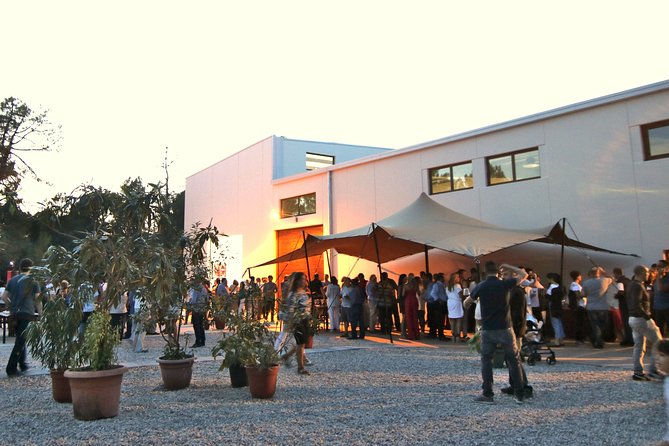 Visit and Wine Tasting at the Territorio Luthier Winery - Territorio Luthier: A Small-Burgos Winery Visit That Feels Personal