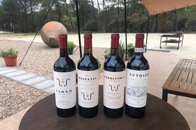 Visit and Wine Tasting at the Territorio Luthier Winery - Who Should Book This Experience