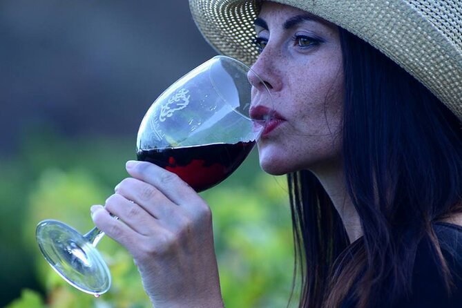Visit Bodegas Teneguía winery in La Palma with wine Tasting - Key highlights worth marking on your day