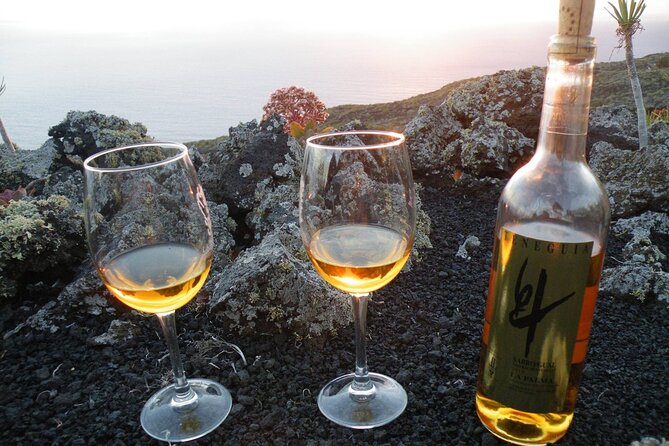 Visit Bodegas Teneguía winery in La Palma with wine Tasting - The tasting: what you drink and how to use it