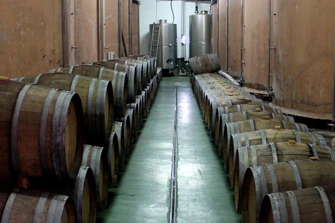 Visit Bodegas Teneguía winery in La Palma with wine Tasting - Price and value: $18.02 for an hour that actually teaches