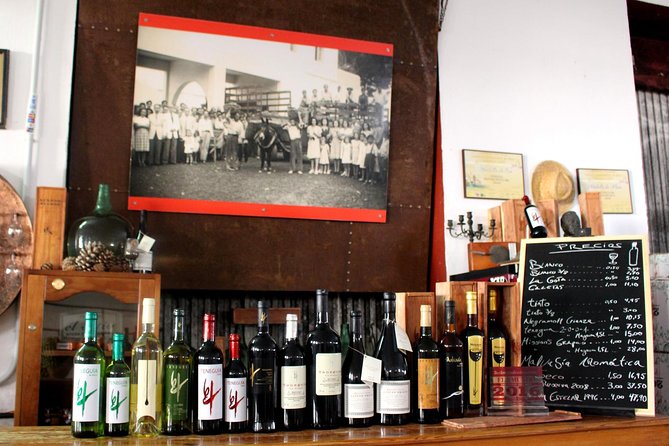 Visit Bodegas Teneguía winery in La Palma with wine Tasting - Weather and getting the day to cooperate