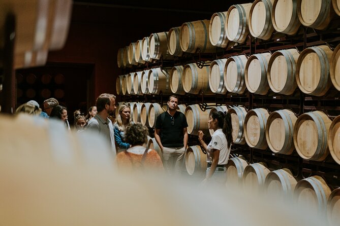 Visit La Joya Escondida de la Ribera del Duero Winery - What you’ll see on the guided tour: vines, winery process, and sustainability details