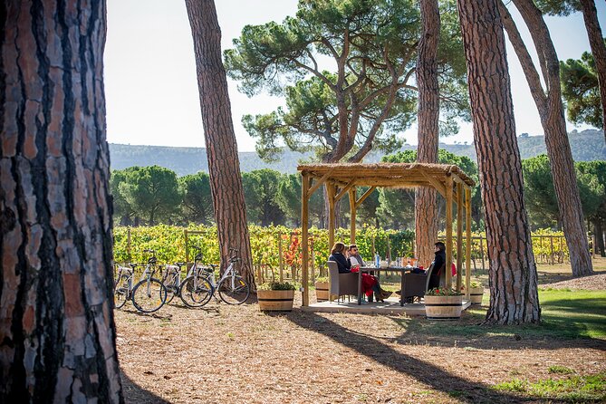 Visit La Joya Escondida de la Ribera del Duero Winery - Timing and weather: fog, frost, and how to dress