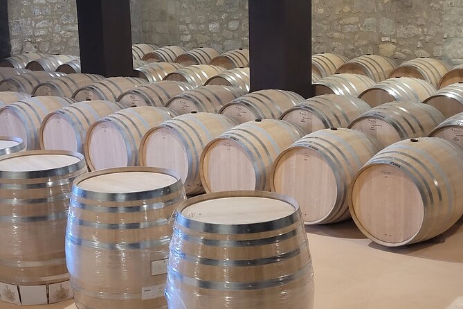 Visit Marques de Riscal & Boutique Winery from Bilbao - Samaniego: boutique winery energy with red-and-white variety