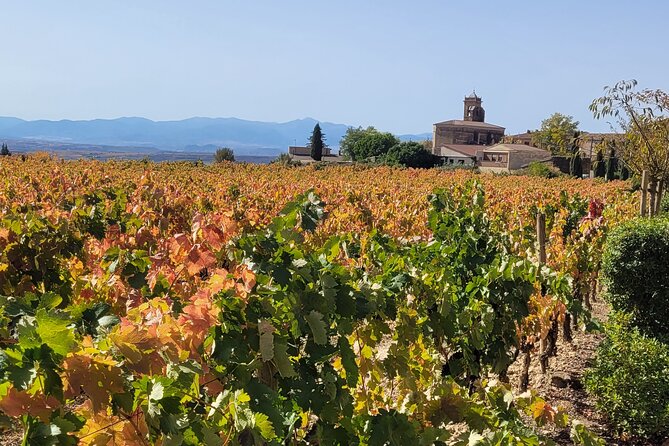 Visit Marques de Riscal & Boutique Winery from Bilbao - Snacks, water, and pacing: the underrated part of tasting tours